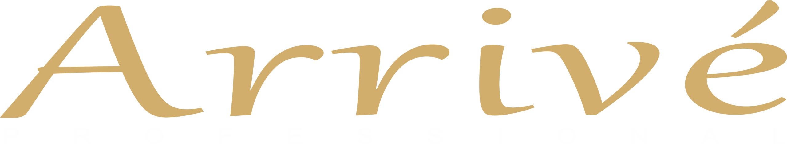 Arrive Professional Shampoo